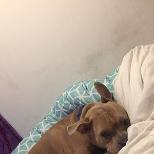 Meet your Posher, Holly